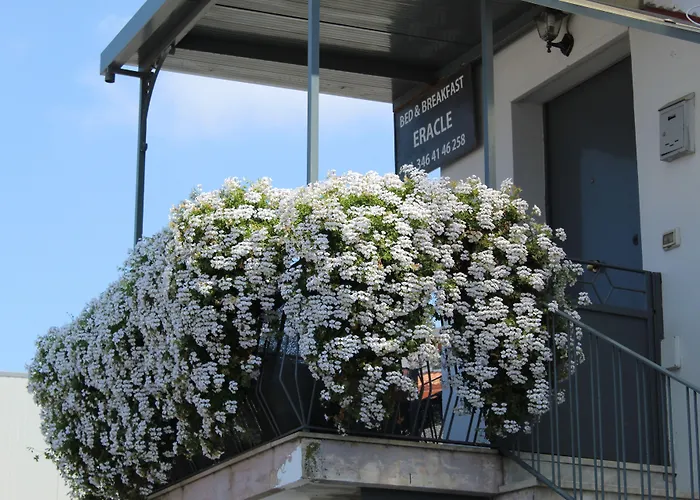 Eracle Alojamento de Acomodação e Pequeno-almoço