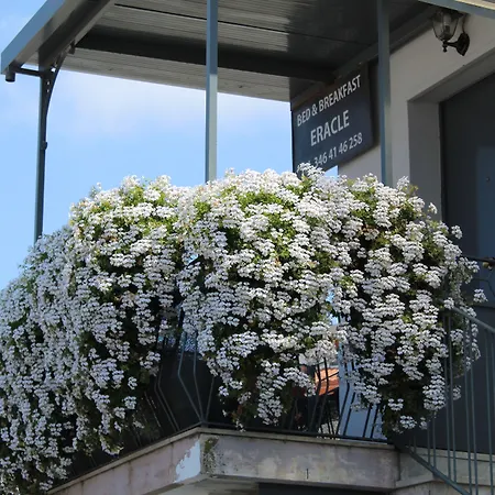 Eracle Couette-café